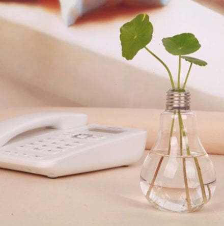 Creative Free Shipping Transparent Glass Bulb Vase